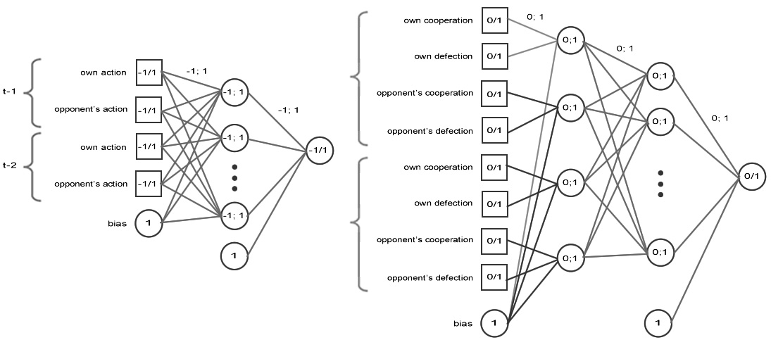The network schema